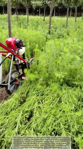 Next-Gen Agriculture: The Ultimate Hand-Push Weeding Machine in Action!
