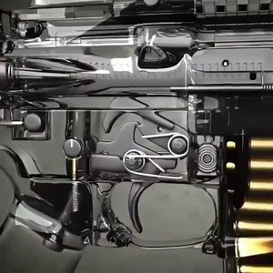 Zombie Apocalypse Survival Guide on Reels