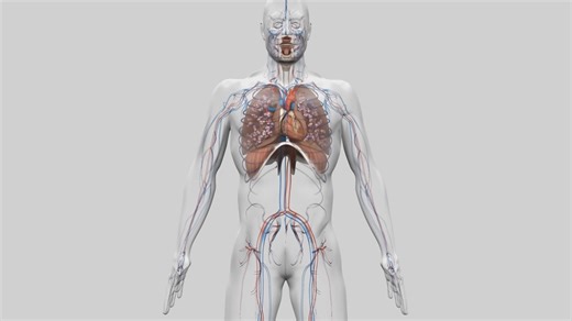 39K views · 1.3K reactions | La respiration...