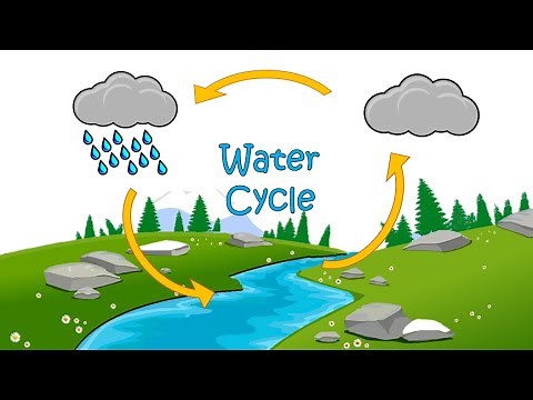 The Water Cycle | Science for Kids