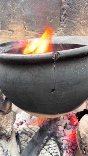 NFK#trendingvideos #viraltiktok #whiteoracle001