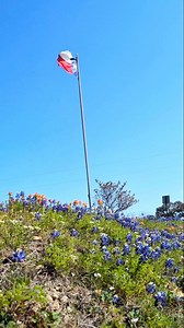 Not to take away from the lce-pocalyse, but while we're all hunkering down in our Eskimo suits, let's remember that bluebonnet season is right around the corner! Send this to a friend who's totally over the cold already! #texasspring #texaswildflowers #bluebonnets | Texas Wanderers
