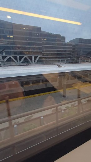 189 reactions | Departing #WashingtonUnionStation on #Acela 2154. #nextgenacela #amtrak #amtrak302 #alc42 #locomotive #diesel #railfan #foamer #trains #train #transportation #travel #novanscaler #trainshow #trackside #trainsofinstagram #railsupremacy #trainspotting #trainspotter #virginiarailwayexpress #dmv #dc #washingtondc #fblifestyle #travelbytrain #travelbyrail | Northern Virginia N Scaler | Facebook