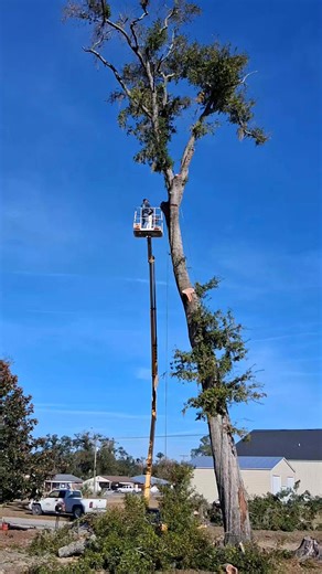 Mack Miller on Reels | Facebook