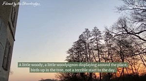 A marvellously wild morning at The Chateau… Have a lovely day XXX | The Strawbridge Family - Home of Escape to The Chateau