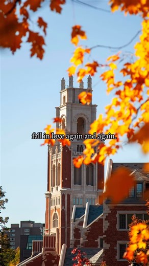 Yale University Housing on Instagram: "Fall in love again and again with life at Yale. From the vibrant community to the cozy and comfortable housing options, there’s always something for everyone while spending time on campus.💙🍁 #yale #yalehousing #yalecollege"