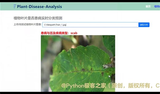 基于深度学习的植物疾病检测识别系统