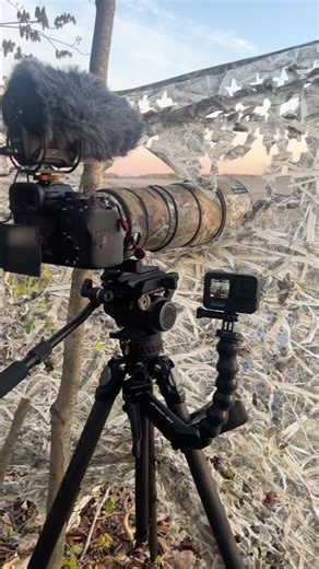 Everything I use for turkey season 🦃 #huntinglife #gear