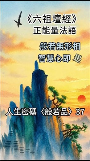 02-37《六祖壇經》正能量法語 #shorts #news #六祖壇經誦讀 #禪宗 #人生感悟