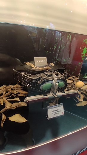 CSM 亚马逊 阿尔法版本