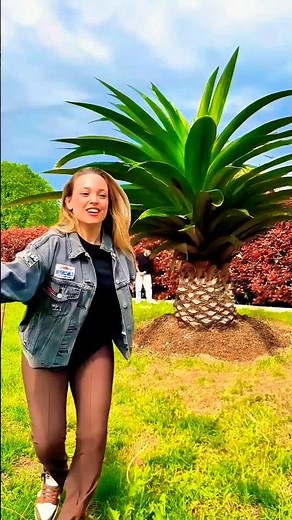 How? Tutorial? Inspired #shorts #vfx #visualeffects #cgi #3d #visualeffects #funny #youtubeshorts