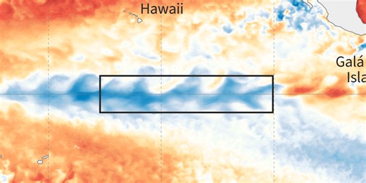 La Nina climate pattern officially arrives and is expected to persist through winter