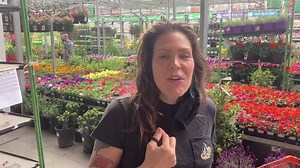 65K views · 6.2K reactions | Happy #NationalGardeningDay  | Beth Hart | Facebook