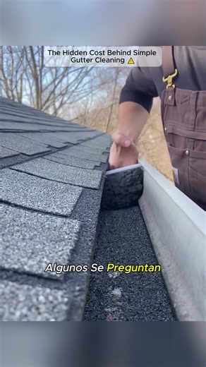 Why Is Gutter Cleaning So Expensive? The Real Cost Explained 😱