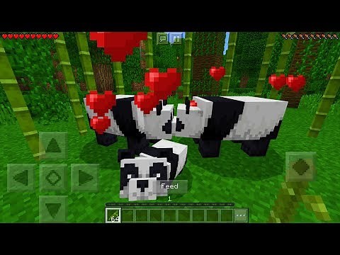 How To Breed Pandas in Minecraft Pocket Edition (1.8+)