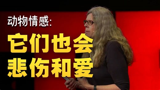 【TED演讲】动物王国的悲痛与爱 | Grief and love in the animal kingdom