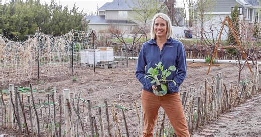 Modern Gardener:Garden Progression: Month of May Season 1 Episode 94