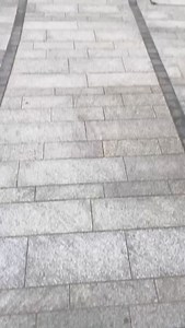 ICYMI - We kicked off Mummy Pig’s gender reveal at @batterseapwrstn and … IT’S A GIRL 🎀! Thank you to everyone who came to celebrate our PIG news 🐽🍼 #ExpectingPigChanges | Peppa Pig