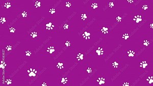 Purple background with dog paw prints. Looped motion graphics. White silhouette pattern.