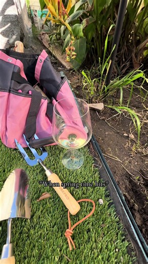 Spring and Summer isn’t season!! #spring #summer #gardening #fyp #luxuriouslifeofamy