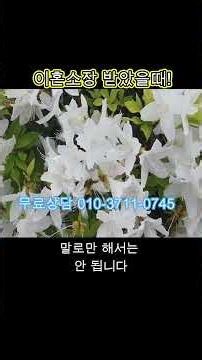 이혼해야할 이유가 없고 잘못한것이 없는데 이혼소장받았을때!