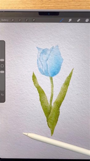 Realistic watercolor in Procreate #procreate #procreateart #digitalart #digitalwatercolor #drawing