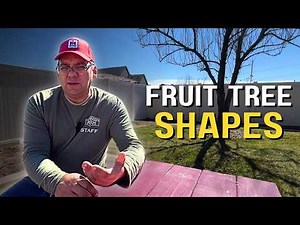 SEASON 2 Apple Pruning: Understanding Fruit Tree Shapes, Structure and Strategy