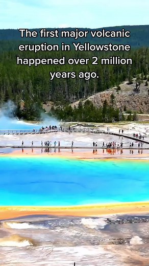 Random Facts on TikTok