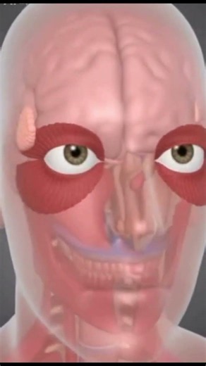 Why Do We Blink? 👀 The Surprising Reason Your Eyes Never Dry Out#shorts