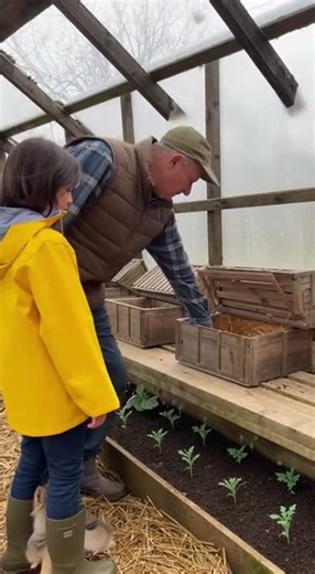 Generations at Work: Eggs and Wonder