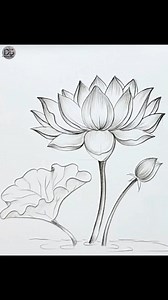 516K views · 9.3K reactions | Easy pencil sketch | Lotus #drawing #pencilsketch | Drawing Book | Facebook