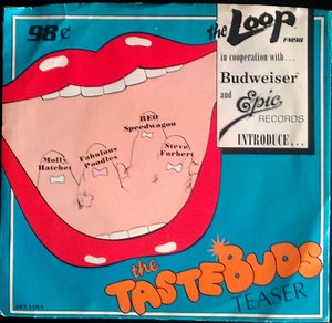 Various - The TasteBuds Teaser