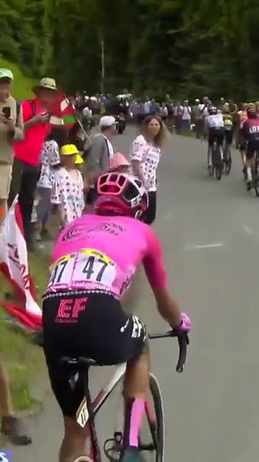 695K views · 8K reactions |  Phénoménal ! Wout van Aert a été tout simplement phénoménal ce jeudi sur les routes du Tour ! Le Belge a attaqué dès le départ de l’étape et s’est garé à 4km de l’arrivée après un travail tout simplement époustouflant ! WVA a une nouvelle fois reçu le prix de la combativité !  #tdf #tdf2023 #WoutVanAert #wva #tourdefrance #velortbf | RTBF Sport | Facebook
