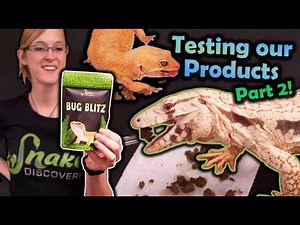 Testing the REST of Our Products!