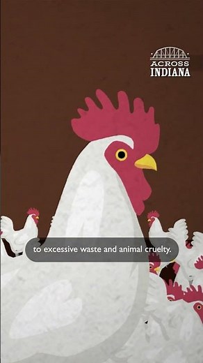 How do Factory Farms Impact Indiana? | Across Indiana
