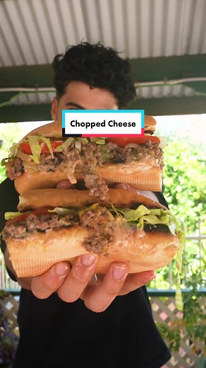 Easy Chopped Cheese Sandwich Recipe | #SandwichTok