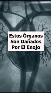 491K views · 6.7K reactions | Estos ÓRGANOS son DAÑADOS MUY GRAVEMENTE por el ENOJO, CORAJE, IRA, FURIA (EMOCIONES que ENFERMAN) #enojo #emociones #enfermedad #enfermedades #salud #emocion #emocionesmalas #blancamercado #minimalismosimple #viral #parati #reel #reels #enojon #toxico #medicina | Minimalismo simple con Blanca Mercado e Isaac López | Facebook