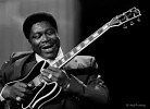 B.B. King - The thrill is gone songtekst