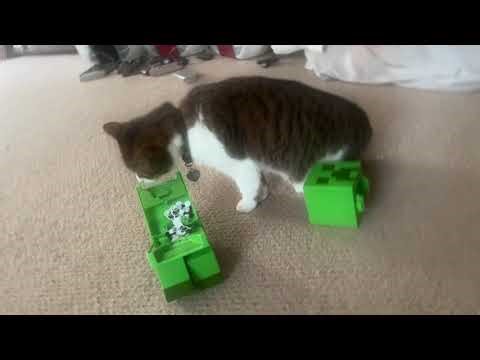 My exploding RC creeper toy is startling my cat Zoey￼