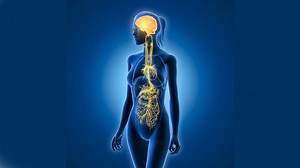 More Intermittent Fasting