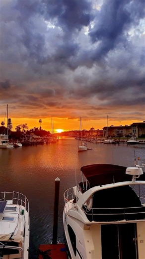 28 reactions | Sunset Cove on Reels | Facebook