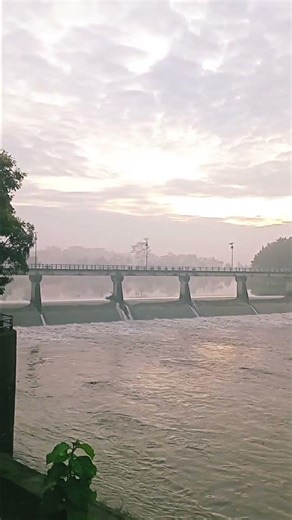 Suasana pagi di pinggiran sungai progo😎☕️✅️💚#pedesaan #nature #soundjawa #fyp