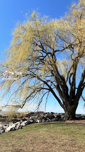 Exploring Edgewater Park: Nature Near Downtown Cleveland