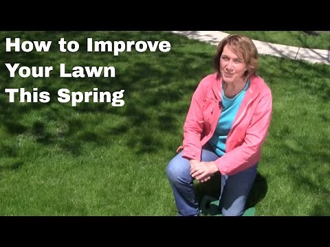How to Improve Your Lawn this Spring
