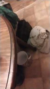 (RARE) (WWF34) Snow Squall Warning/ Severe Weather Statement