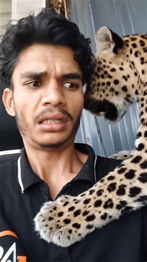 tutorial Leopard leap filter 🤩💀 #leopard​ #leap​ #filter​ #moneylove​ #funny​ #trending