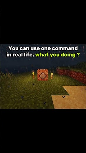 You can use one command irl, what will it be...