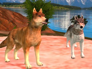 Play Wild Wolves | Free Online  Games. KidzSearch.com
