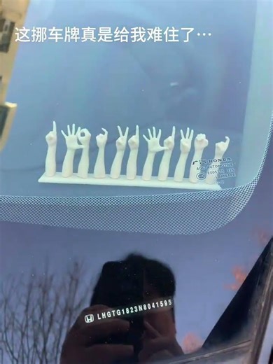 I was stumped by a moving license plate and was trying to play something very new.