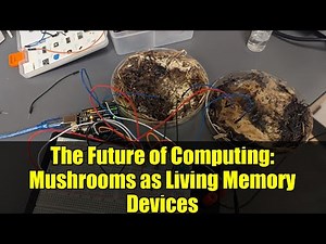 The Future of Computing: Mushrooms as Living Memory Devices